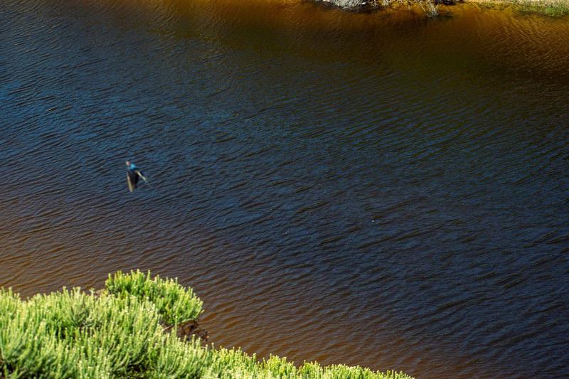 0 Bedroom Property for Sale in Moquini Western Cape